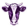 Purple Cow Property Media's profile photo