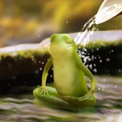 Nunu MP's photo