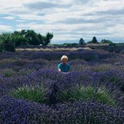 Donna Chapman's photo