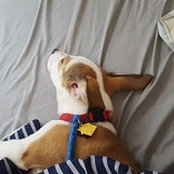 Matthew Bapties's photo