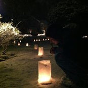 Noelle McCartney's photo