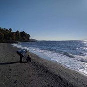 LaVonne Burrows's photo