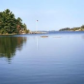 Ryan Willmore's photo
