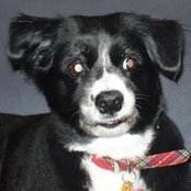Jackie Erlich Davis's photo