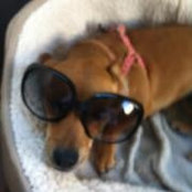 Christina Samoylov's photo