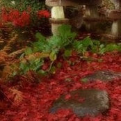 Edra-maril Alonso's photo