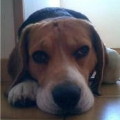 Liz Gantnier's photo