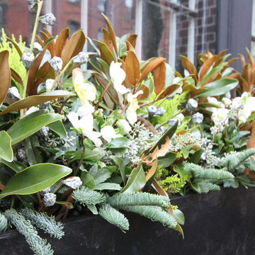 Christmas window boxes in Brooklyn