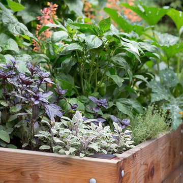 Pine House Edible Gardens