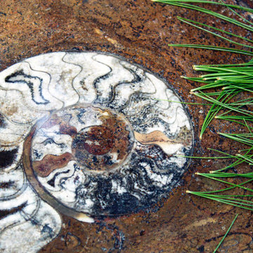 Fossil Marble Table Tops