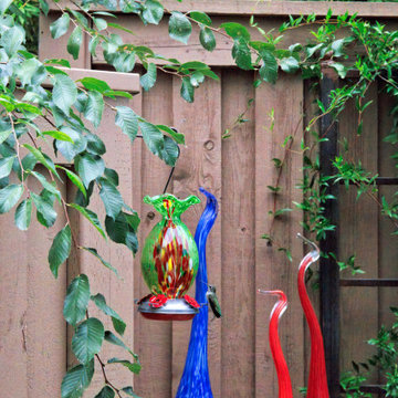 Small Backyard, Big Impact