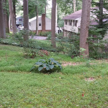 Landscaping and river rock drainage swale