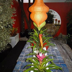 Container gardening - Products