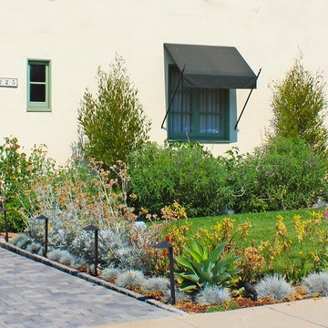 Front Yard Landscape