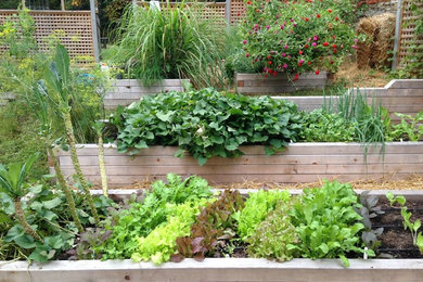This is an example of a landscaping in DC Metro.