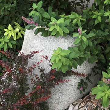 Plantings