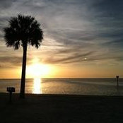 Susan Douglas's photo