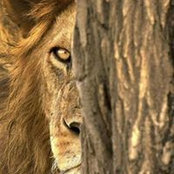 Pamela Pulliam's photo
