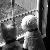 Maryellen Ford's photo