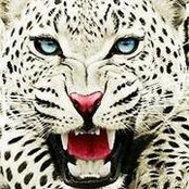 Lise Herrington's photo