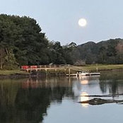 Kristie Haskell's photo