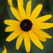 Justina Boyden's photo