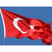 Nilgn Temiz's photo