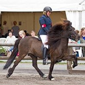 Catrin Barthelmeß's photo