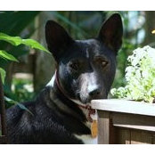 Mary Schoenhofer's photo