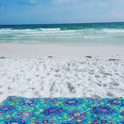 Cynthia P's photo
