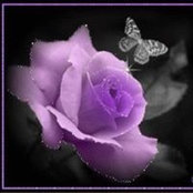 Lisa Martin-Eischens's photo