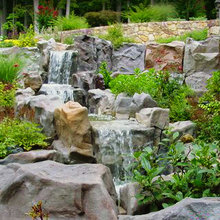 Landscape Ideas