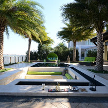 Palms