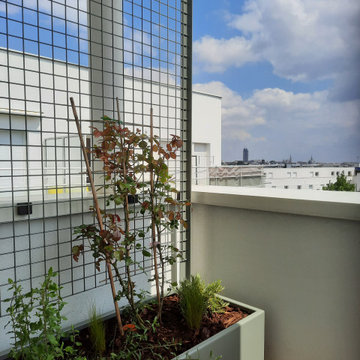 terrasse sud Est Vert céladon
