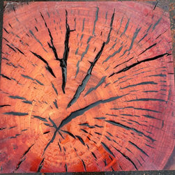 Live edge slabs - Building Materials