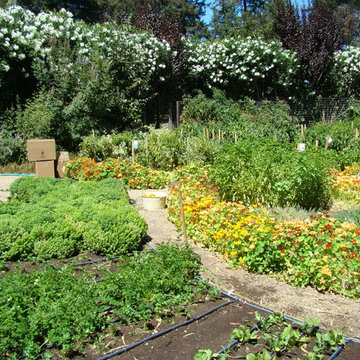 Vegetable gardens