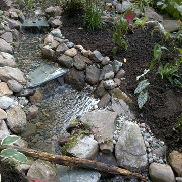 Back Yard Pond - Avon