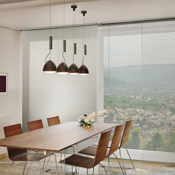 Venetian Blinds