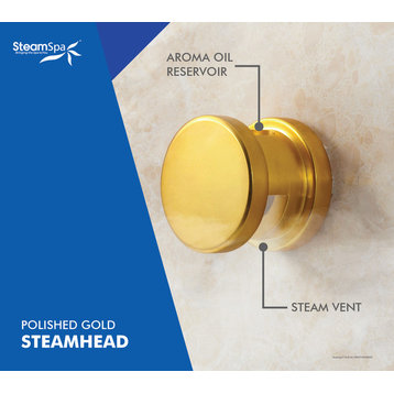 Steamspa Steamhead With Aromatherapy Reservoir, Polished Brass