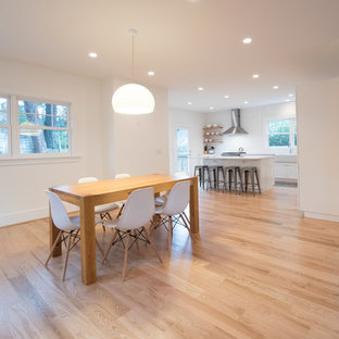 オマハの広いモダンスタイルのLDKの画像 (白い壁、淡色無垢フローリング、暖炉なし、ベージュの床)