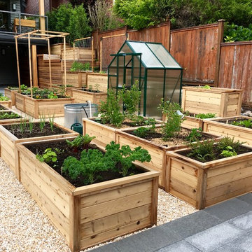 Grow zone - looking towards the house from the potting shed patio