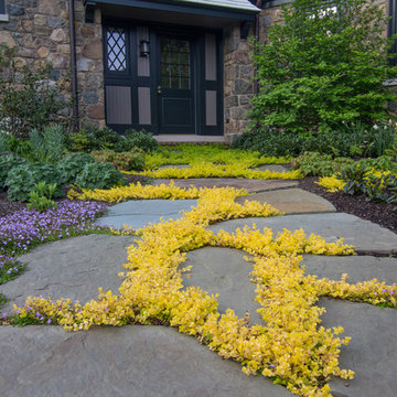 Rain garden and meadow