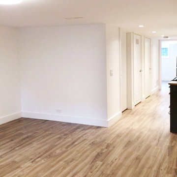 Roncy Basement Reno