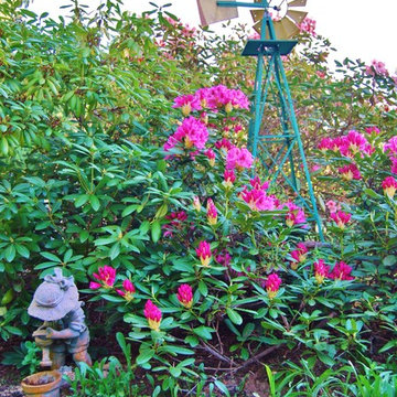 Pond and landscape yard