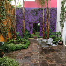 Patio Ideas