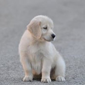 Becky Lee's photo