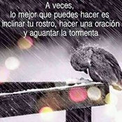 Roger Pineda's photo