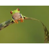 Kennetha Johnson Robinson's photo