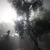 Fabio Farina's photo