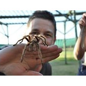 Paul Brouwer's photo